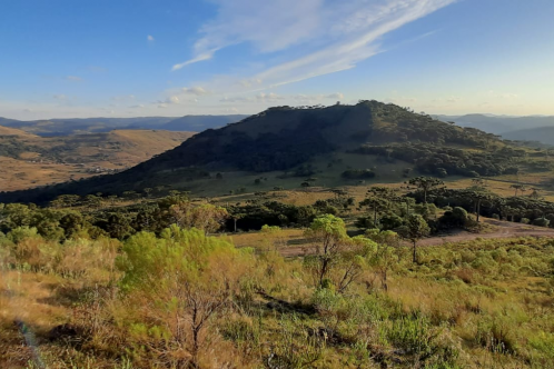 Terreno a Venda -Vista das Montanhas - tima Localizao - Urubici