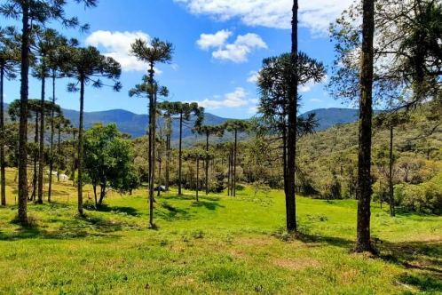 Terreno a Venda com Cachoeira - Urubici - Serra Catarinense 