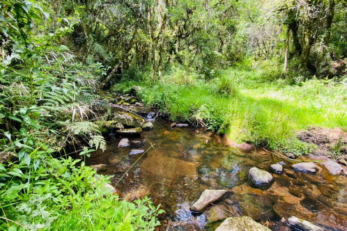 Terreno a Venda - Linda Vista das Montanhas - Excelente Localizao 