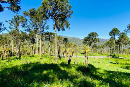 Terreno a Venda - Serra Catarinense -  Excelente Localizao