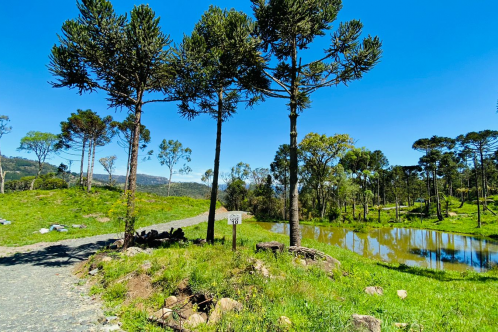 Terreno a Venda - Serra Catarinense -  tima Localizao