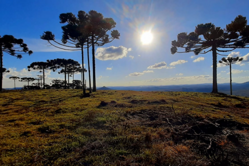 Terreno a Venda - Urubici - tima Localizao - Serra Catarinense 