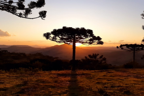 Terreno a Venda - Urubici - tima Localizao - Serra Catarinense 