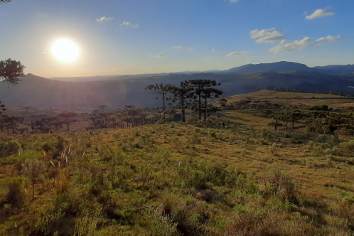 Terreno a Venda - Urubici - tima Localizao - Vista das Montanhas 