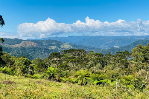 Terreno a Venda - Vista Maravilhosa - Urubici - Serra Catarinense 