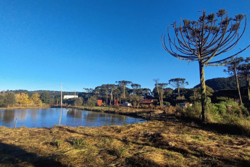 Terreno de dois hectares com casa e cabana  venda