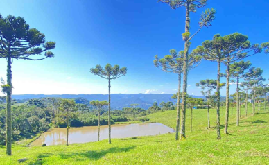 Chcara com 2 hectares no Morro da Igreja em Urubici