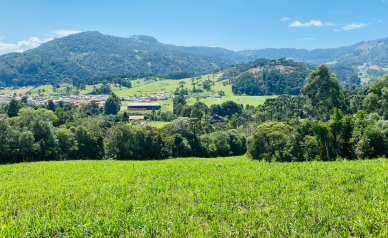 Sitio a Venda - Baiano - Urubici - Serra Catarinense