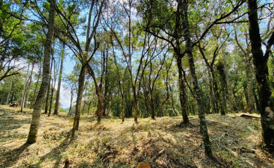 Sitio a Venda - Excelente Localizao - Vista das Montanhas 