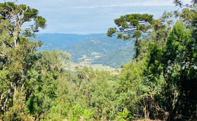 Sitio a Venda - Serra Catarinense - Vista para o Vale e Montanhas