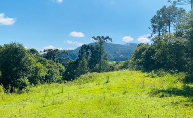 Sitio a Venda - Urubici - Serra Catarinense