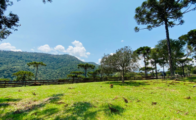 Stio a Venda - Urubici - Serra Catarinense - Excelente Localizao