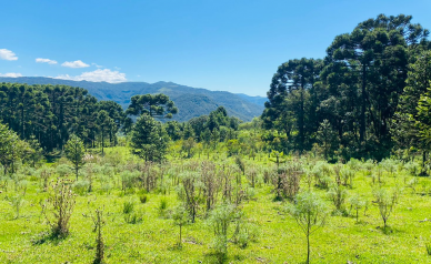 Stio a Venda - Urubici - Serra Catarinense - Vista das Montanhas