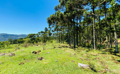 Stio a Venda - Urubici - Serra Catarinense - Vista das Montanhas