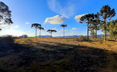 Terreno a Venda - Boa Localizao - Urubici - Serra Catarinense 