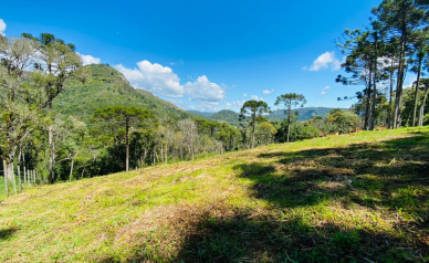 Terreno a Venda - Com gua Corrente - Excelente Localizao 