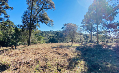 Terreno a Venda com gua corrente - Urubici - Serra Catarinense