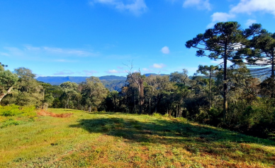 Terreno  Venda com Pr do Sol -  Urubici - Serra Catarinense 