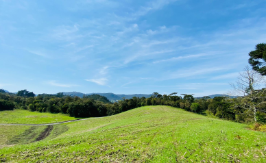 Terreno  Venda - Consolao - Vista das Montanhas e Pr do Sol