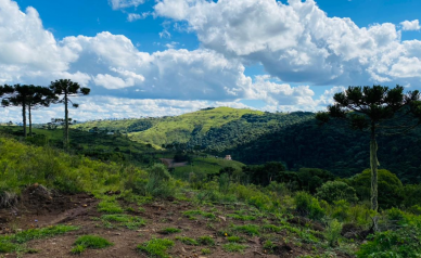 Terreno a Venda - Crioulas - Por do Sol - Urubici Serra Catarinense 