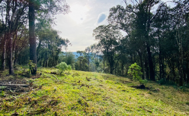 Terreno a Venda - Excelente Localizao - Baiano