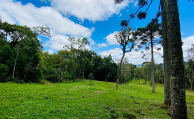 Terreno a Venda - Excelente Localizao - Serra Catarinense 