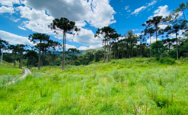 Terreno a Venda - Excelente Localizao - Serra Catarinense 