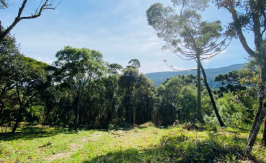 Terreno a Venda - Excelente Localizao - Urubici - Serra Catarinense 