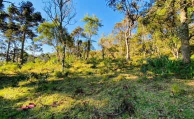 Terreno a Venda - Excelente Localizao - Vista  das Montanhas