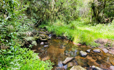 Terreno a Venda - Com gua Corrente - Excelente Localizao 