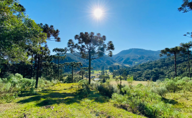 Terreno a Venda - Linda Vista do Vale - Acesso Bom 