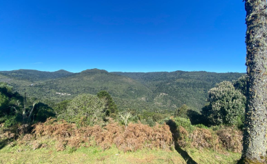 Terreno  venda - Morro da Igreja - Vista para Cachoeira