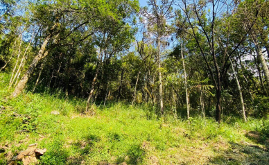 Terreno a Venda - Serra Catarinense - Vista para as Montanhas 