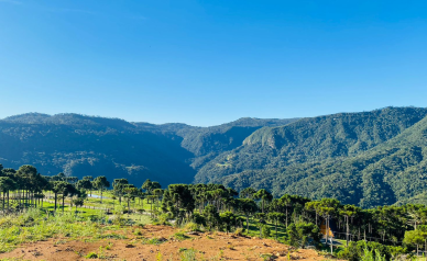 Terreno  Venda - Rio dos Bugres - Vista das Montanhas