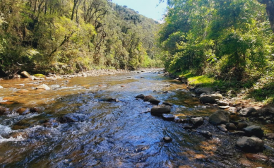 Terreno  venda - Rio dos Bugres - Excelente Vista