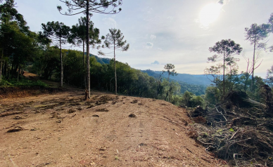 Terreno a Venda - Serra Catarinense -  tima Localizao