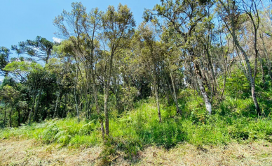 Terreno a Venda - Serra Catarinense - Vista das Montanhas 