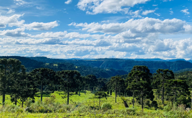 Terreno a Venda - Serra Catarinense - Vista para o Vale