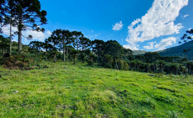 Terreno a Venda - Serra Catarinense - Vista para o Vale e Montanhas