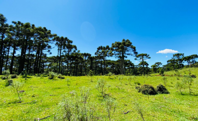 Terreno a Venda - Urubici - Linda Vista das Montanhas 