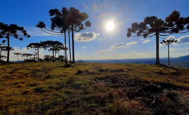 Terreno a Venda - Urubici - tima Localizao - Serra Catarinense 