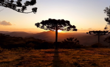 Terreno a Venda - Urubici - tima Localizao - Serra Catarinense 