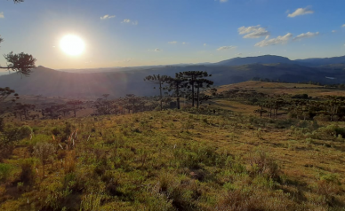 Terreno a Venda - Urubici - tima Localizao - Vista das Montanhas 