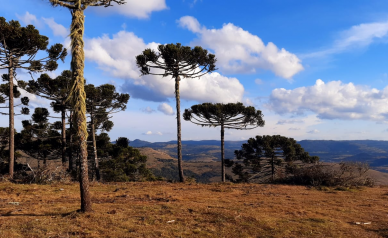 Terreno a Venda - Urubici - tima Localizao - Vista para o Vale 