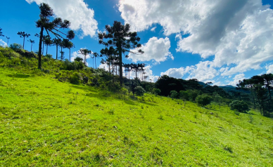 Terreno a Venda - Urubici - Serra Catarinense - Crioulas