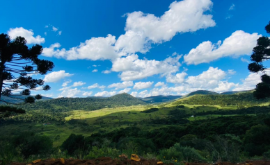 Terreno a Venda - Urubici - Serra Catarinense - Excelente Localizao