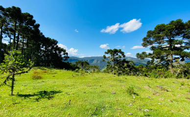 Terreno a Venda - Urubici - Serra Catarinense - So Pedro