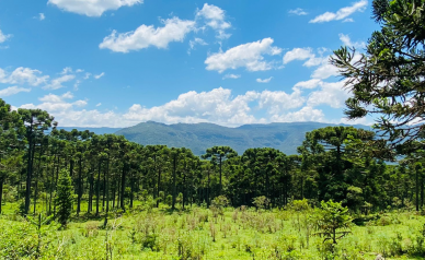 Terreno a Venda - Urubici - Serra Catarinense - Vista das Montanhas 