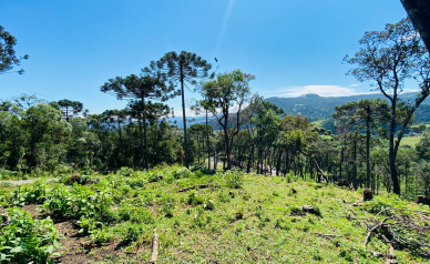 Terreno a Venda - Urubici - Serra Catarinense - Vista das Montanhas 