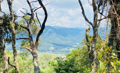 Terreno a Venda - Vista das Montanhas - Excelente Localizao